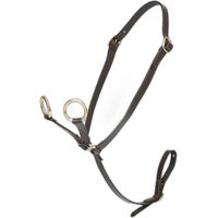 Produktbild von LeMieux Martingal für Ponys aus Leder in Braun