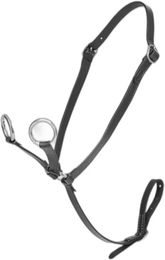 Produktbild von LeMieux Martingal für Ponys aus Leder in Schwarz