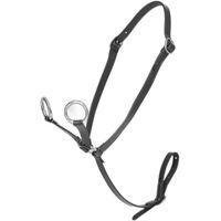 Produktbild von LeMieux Martingal für Ponys aus Leder in Schwarz