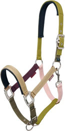 LeMieux Medley Pferdehalfter aus Nylon in Bunt Gelb – Bild 1 von 1