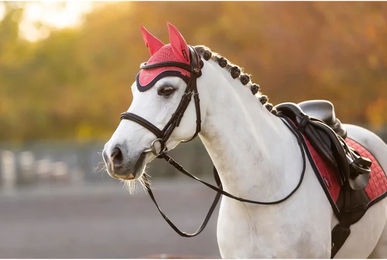 Produktbild von LeMieux Mini Classic Reitspielzeug-Mütze