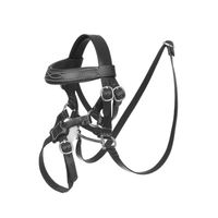 Produktbild von LeMieux Mini Toy Pony Grackle Trensenzaum aus Leder in Schwarz