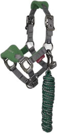 LeMieux Mini Vogue Halfter und Longiergurt aus Fleece für Ponys in Grün – Bild 1 von 11