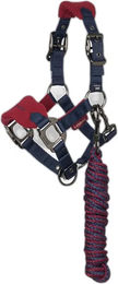 LeMieux Mini Vogue Halfter und Longiergurt aus Fleece für Ponys in Rot oder Bunt – Bild 1 von 11