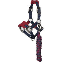 Produktbild von LeMieux Mini Vogue Halfter und Longiergurt aus Fleece für Ponys in Rot und Bunt