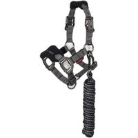 Produktbild von LeMieux Mini Vogue Halfter und Strick Set für Ponys aus Fleece in Schwarz und Grau