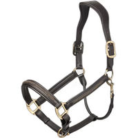 Produktbild von LeMieux Pferdehalfter Crystal aus Leder für Warmblut in Schwarz oder Braun