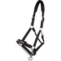 Produktbild von LeMieux ProSafe Halfter für Warmblut in Schwarz aus Nylon