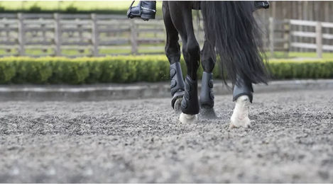 LeMieux Prosport Hinterbeingamaschen und Schooling Boots für Pferde Schwarz Größe M – Bild 1 von 8