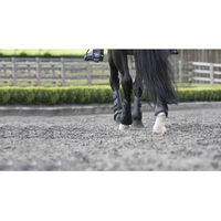 Produktbild von LeMieux Prosport Hinterbeingamaschen und Schooling Boots für Pferde Schwarz Größe M