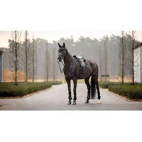 Produktbild von LeMieux Puissance Dressurmatte für Pferde aus Suede in Schwarz Größe S/M