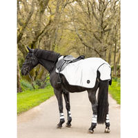 Produktbild von LeMieux Reflective Exercise Ausreitdecke für Pferde aus Fleece in Blau Größe M