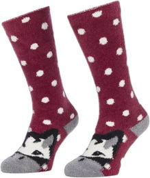 Produktbild von LeMieux Reitsocken für Mädchen mit Fleece-Futter für den Winter in Rot Größe 34