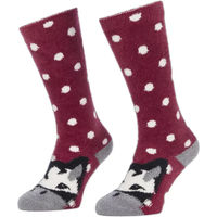 Produktbild von LeMieux Reitsocken für Mädchen mit Fleece-Futter für den Winter in Rot Größe 34