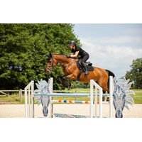 Produktbild von LeMieux Schabracke Crystal Suede Schwarz für Warmblut Pferde - 1 Stk.