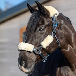 LeMieux Simuwool Halfter und Stricke Set Schwarz aus Plüsch für Pferde – Bild 1 von 5