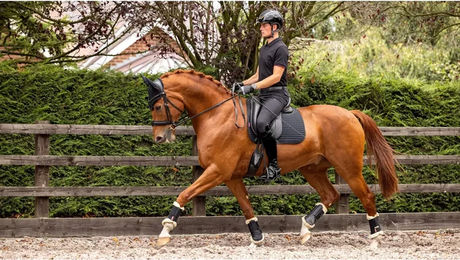 LeMieux Soft Shell Anti Slip Dressage Schabracke für Pferde – Bild 1 von 6