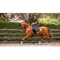 Produktbild von LeMieux Soft Shell Anti Slip Dressage Schabracke für Pferde