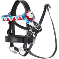 Produktbild von LeMieux Toy Pony Zeigeband für Plüschtiere