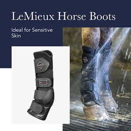 LeMieux Turnout Boots Weidegamaschen aus Neopren Schwarz Größe XL – Bild 1 von 7