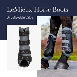 LeMieux Ultramesh Snug Boots Gamaschen für Hinterbeine Schwarz Größe L – Bild 1 von 5