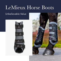 Produktbild von LeMieux Ultramesh Snug Boots Gamaschen für Hinterbeine Schwarz Größe L