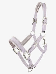 Produktbild von LeMieux Versailles Nylonhalfter für Ponys in Lila