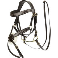 Produktbild von LeMieux Verschränkter Nasenriemen für Hobby Horse