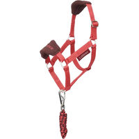 Produktbild von LeMieux Vogue Halfter und Leine für Hobby Horse