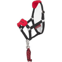 Produktbild von LeMieux Vogue Halfter und Leine für Hobby Horse