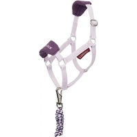 Produktbild von LeMieux Vogue Halfter und Leine für Hobby Horse