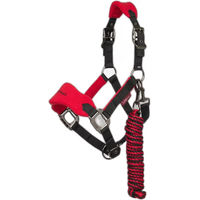 Produktbild von LeMieux Vogue Halfter und Strick Set für Ponys aus Fleece in Orange und Rot