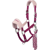 Produktbild von LeMieux Vogue Longe und Halfter für Pferde aus Fleece in Lila und Rosa