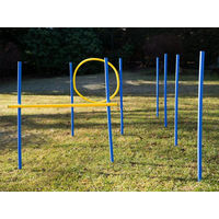 Produktbild von Lemodo Agility-Gerät Hundetrainingsset mit Slalom-Stangen, Hürde und Jump-Ring in Bunt