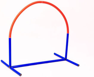 Produktbild von Lemodo Hoopers Agility Hundetraining 2er Set aus Kunststoff Blau Orange