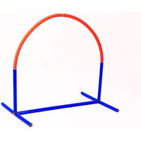 Produktbild von Lemodo Hoopers Agility Hundetraining 2er Set aus Kunststoff Blau Orange