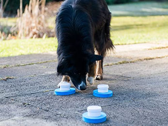 Produktbild von Lemodo Intelligenzspielzeug Fährtensuche für Hunde Blau