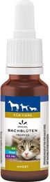 Lemon Pharma Bachblüten Tropfen Angst für Hunde und Katzen 20 ml Bio und Vegan – Bild 1 von 1