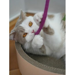 LEO LÖWENKATZ XL Filzschlange aus echtem Wollfilz in Rosa 50cm - 50 cm – Bild 1 von 3