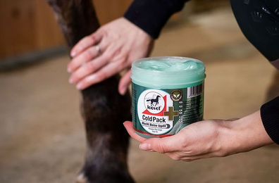 Leovet Cold Pack Kühlgel Pferdesalbe zur Unterstützung der Muskulatur 500 ml - 500 ml – Bild 1 von 8