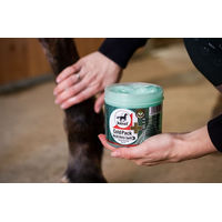 Produktbild von Leovet Cold Pack Kühlgel Pferdesalbe zur Unterstützung der Muskulatur 500 ml - 500 ml
