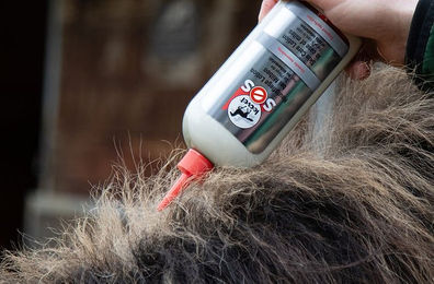 Leovet SOS Hautpflege Lotion für Pferde bei Milbenbefall 500 ml - 500 ml – Bild 1 von 5