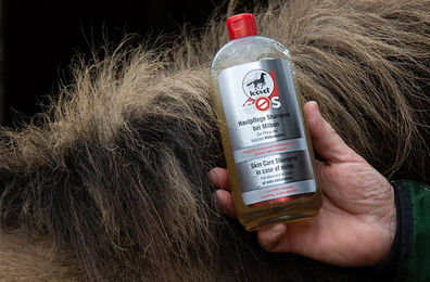 Leovet SOS Hautpflege Shampoo für Pferde 500 ml zur Pflege bei Milbenbefall und Schuppen - 500 ml – Bild 1 von 7