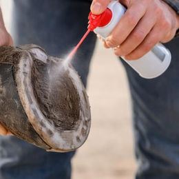 Leovet Strahlserum Frog Medic Hufpflege für Pferde 200 ml - 200 ml – Bild 1 von 5