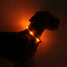 LEUCHTIE Easy Charge LED Leuchthalsband für Hunde aufladbar und wasserdicht Orange Größe 50 - 1 Stk. – Bild 1 von 3