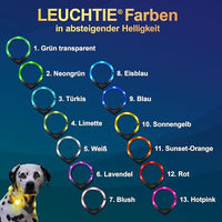 Produktbild von LEUCHTIE Easy Charge LED Leuchthalsband für Hunde aufladbar wasserdicht Türkis Größe 35 - 1 Stk.