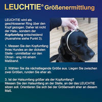 Produktbild von LEUCHTIE Easy Charge LED Leuchthalsband für Hunde wasserdicht aufladbar neongrün Größe 35 - 1 Stk.