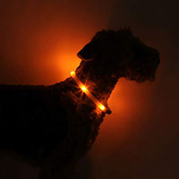Produktbild von LEUCHTIE Easy Charge LED Leuchthalsband für Hunde wasserdicht aufladbar Orange Größe 40 - 1 Stk.