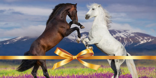 Produktbild von Lexa Geschenkgutschein