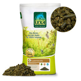 Lexa Luzernecobs Luzerne – Bild 1 von 1